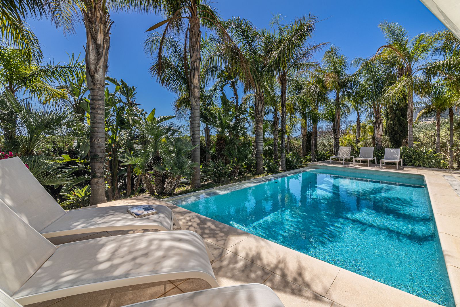 Pool and sun loungers surrounded by palm trees, with mountains in the distance