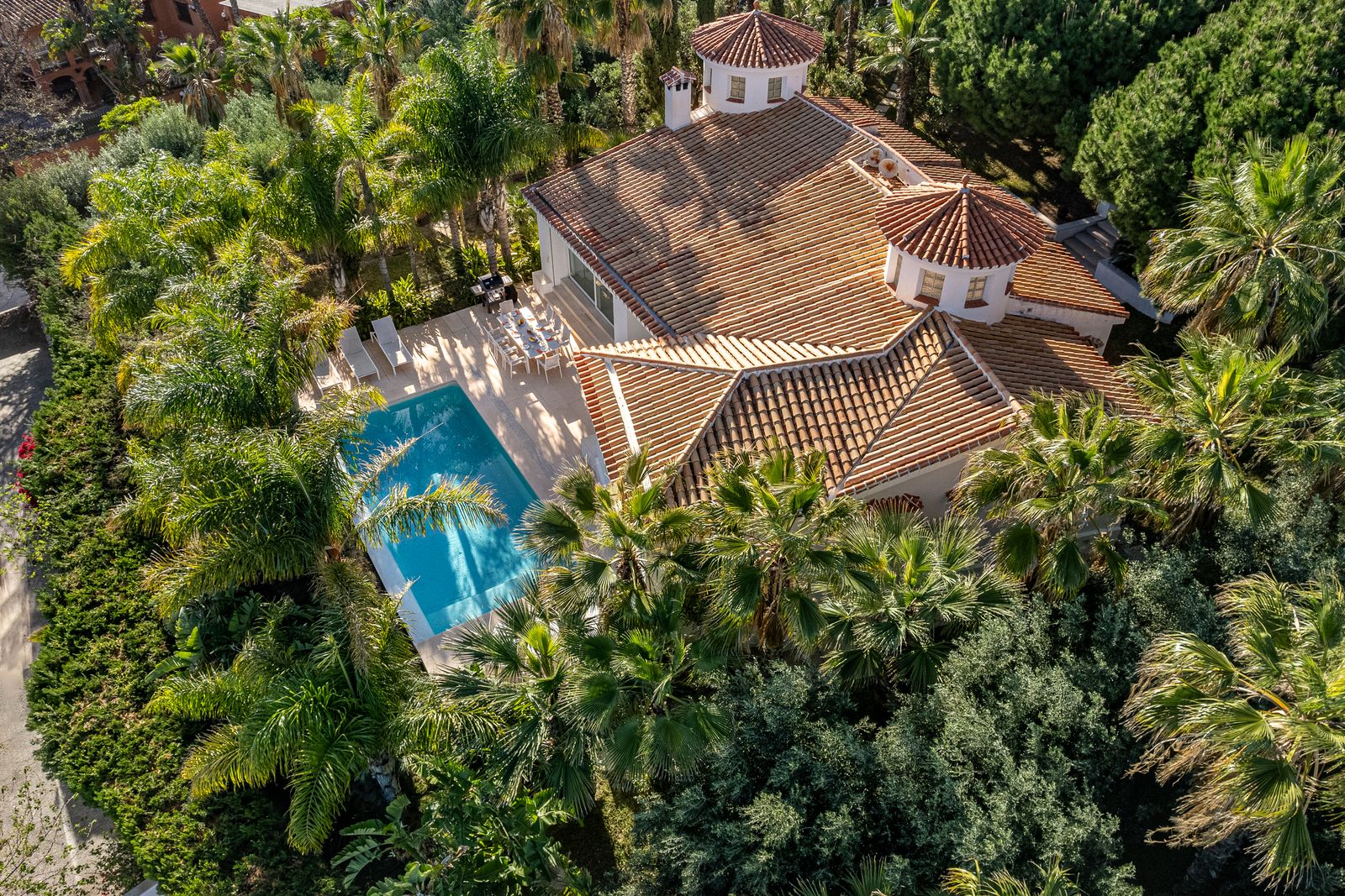 Aerial view of Villa Coníferas in Benalmádena, near Málaga, with its pool and palm garden