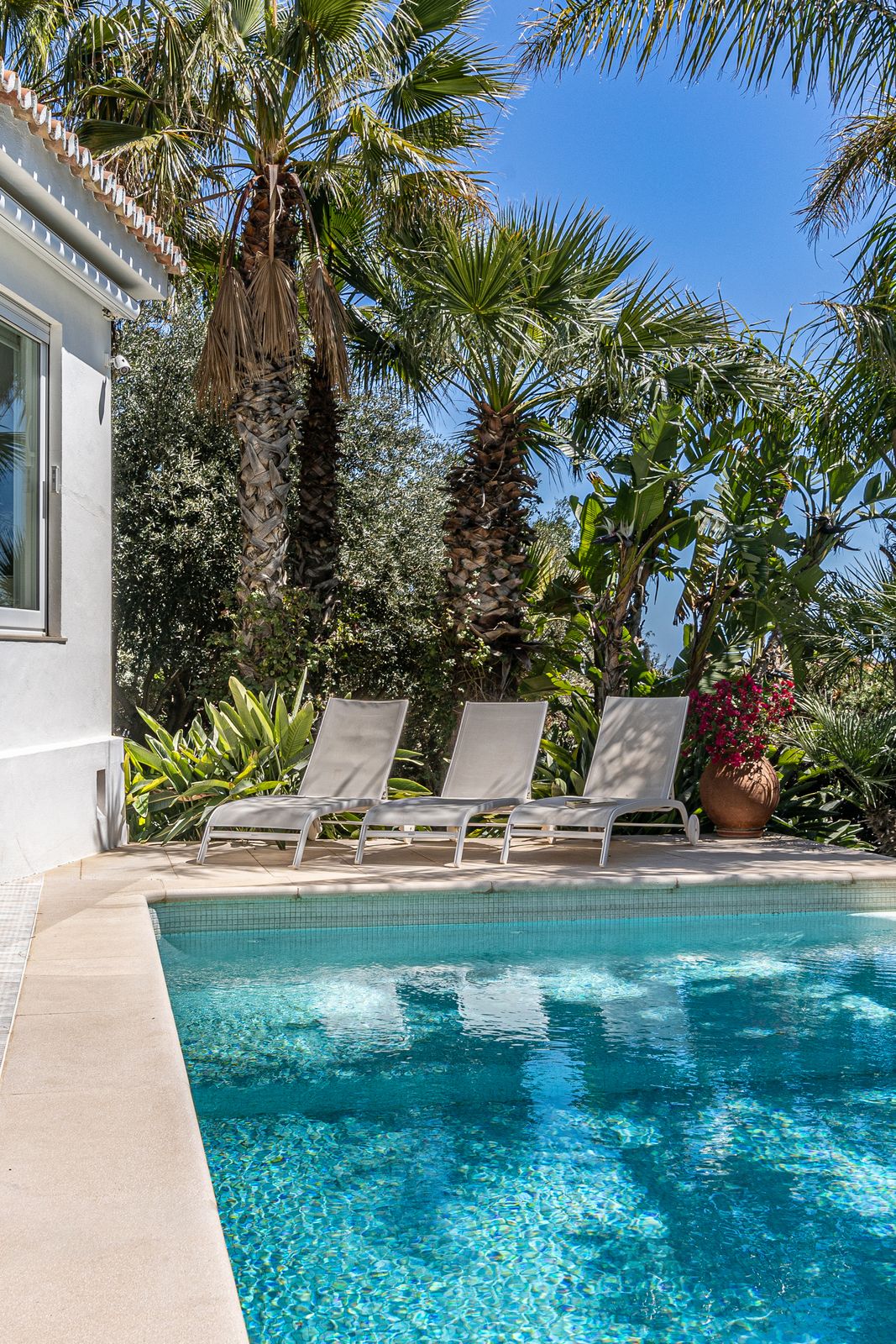 Three sun loungers beside the private pool, surrounded by tropical plants and palms